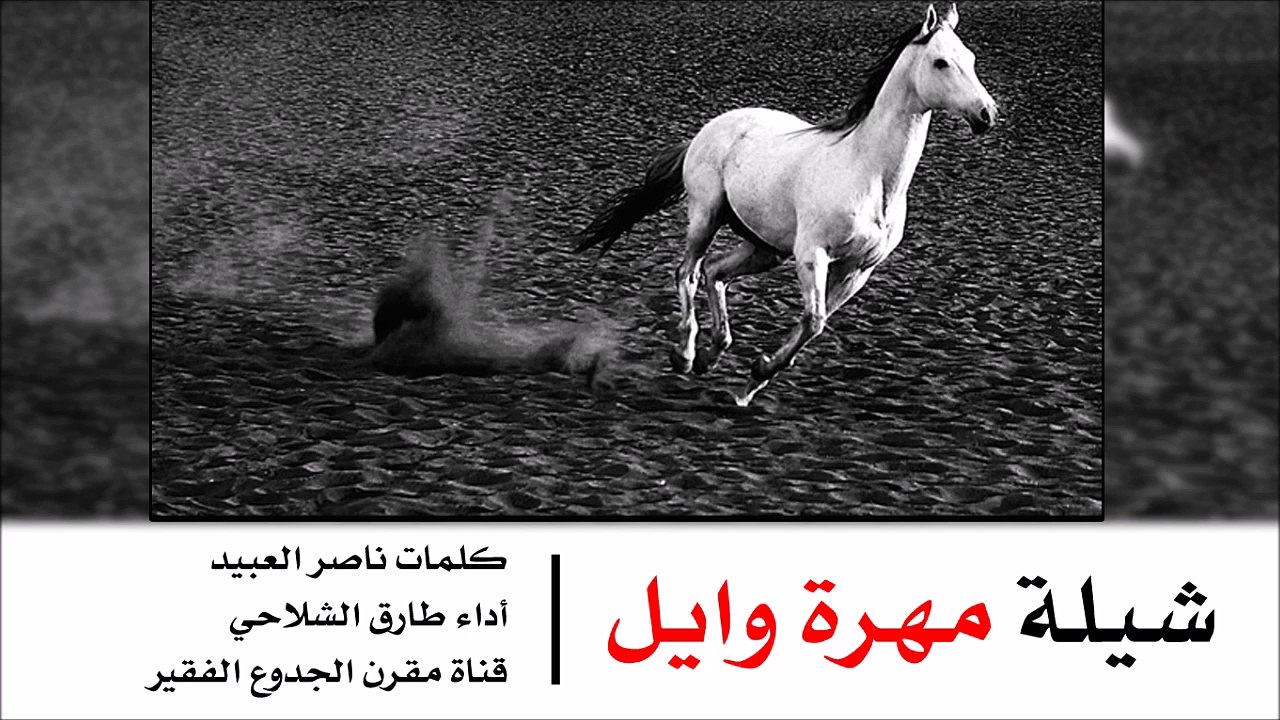 شيلة مهرة وايل - كلمات ناصر العبيد اداء طارق الشلاحي | شيلات عنزه 2015