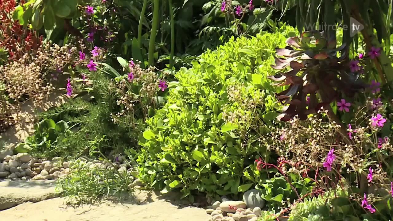 Alan Titchmarsh at RHS Chelsea Flower Show 2014 - Waitrose
