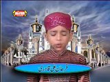 Pukaro Ya Rasool Allah Full Video Naat - Farhan Ali Qadri - Naat Online Video