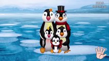 Finger Family Penguins of Madagascar | Nursery Rhymes for Children
