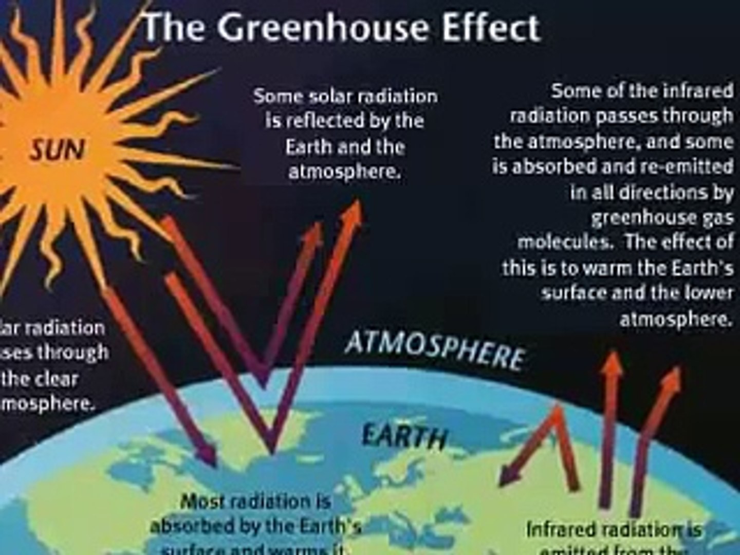 FIGHT GLOBAL WARMING!!!