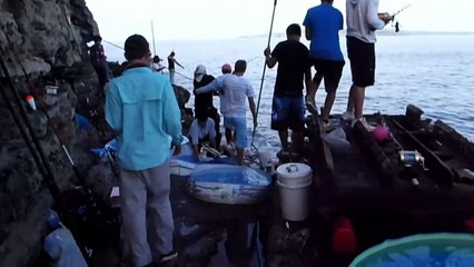 Jacks marlin 2012 (Mr Pop)