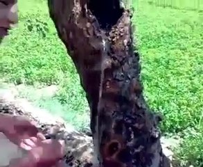 Miracle of God !!! Amazing