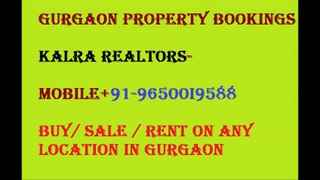 96500I9588 Capital city scape Price in Sector 66 Gurgaon