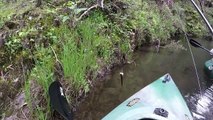 TROUTING AROUND EILDON Melbourne Cup Weekend 2014 trout fishing