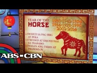 Year of the Horse Predictions for Each Animal Sign