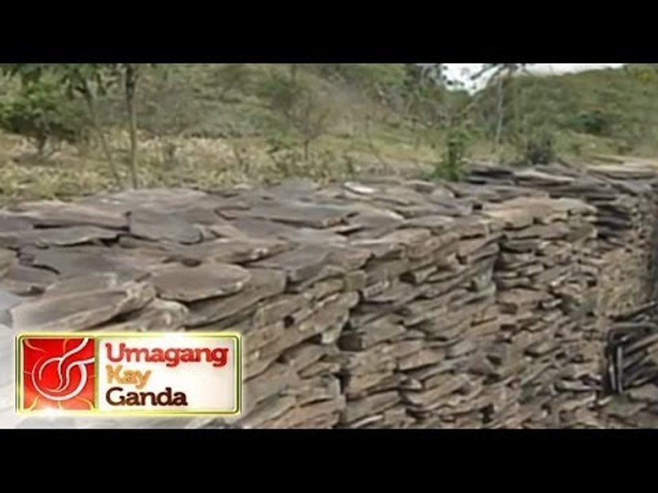 Illegal quarrying site found in Laguna