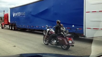 Dog on Freeway! Strapped to back of Woman on Motorcycle I-15
