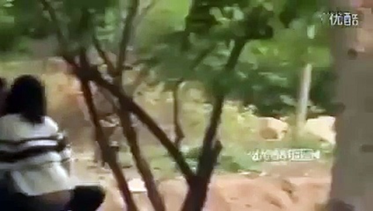 Đôi nam nữ thản nhiên mây mưa trong công viên 2