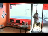 AnimazingPetSpa.com Stores, Ogena Solutions Anivac Bathing Systems - Video 1.mpg