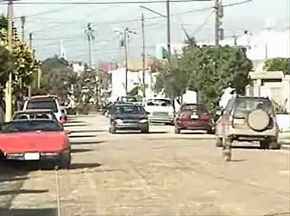 Dragostea din tei - MEXICO