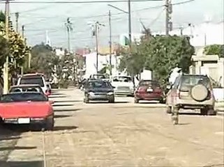 Dragostea din tei - MEXICO