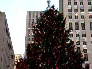 Rockefeller Center Christmas Tree