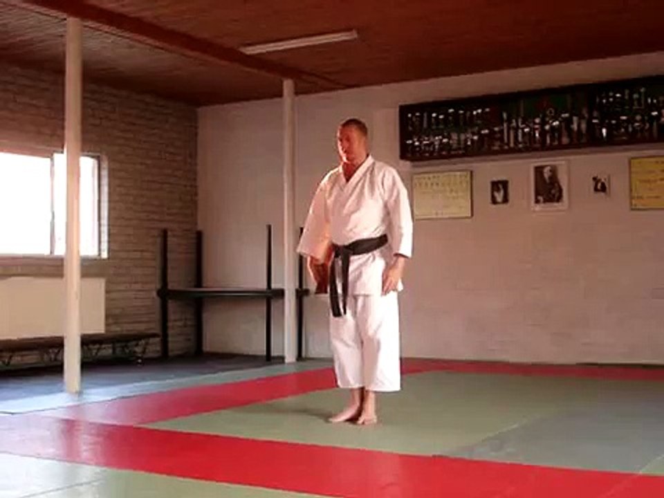 kobudo tonfa kata matsuhiga no tonfa