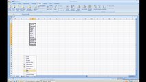Creating a Drop Down Menu (Data Validation Selection List) Excel 2007