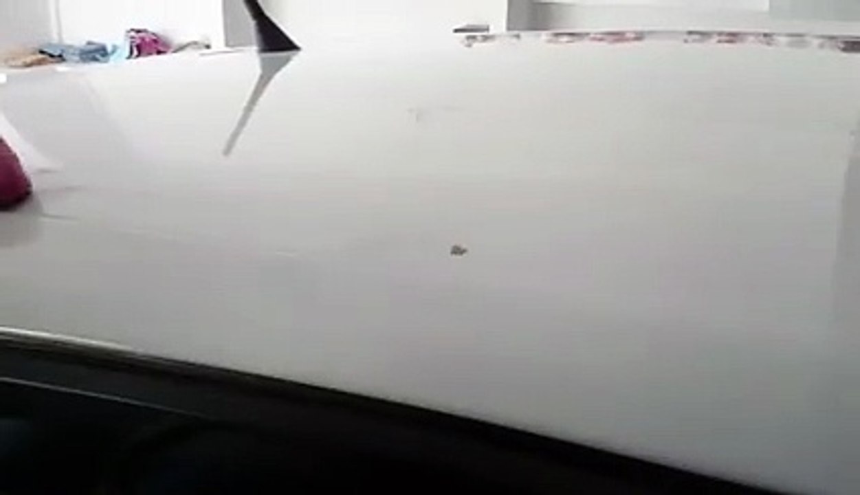 Buharlı oto yıkama makinası