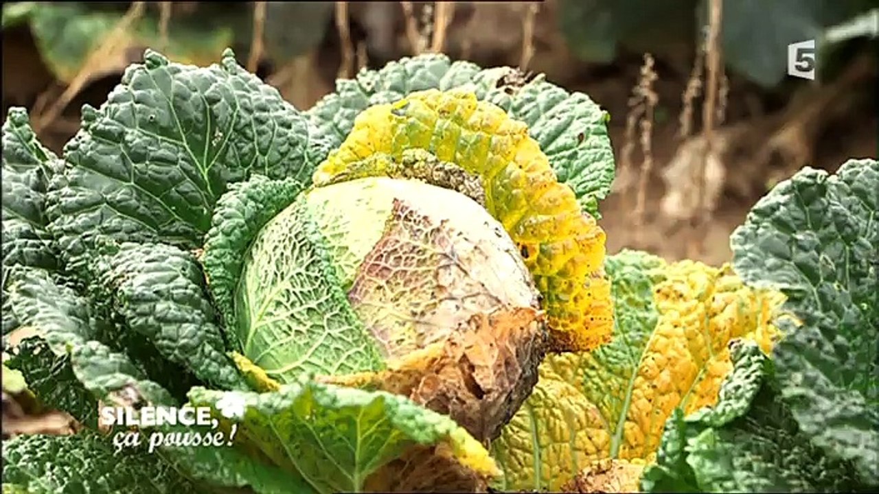 Silence, ça pousse ! 27.05.2015 VOSTF France 5
