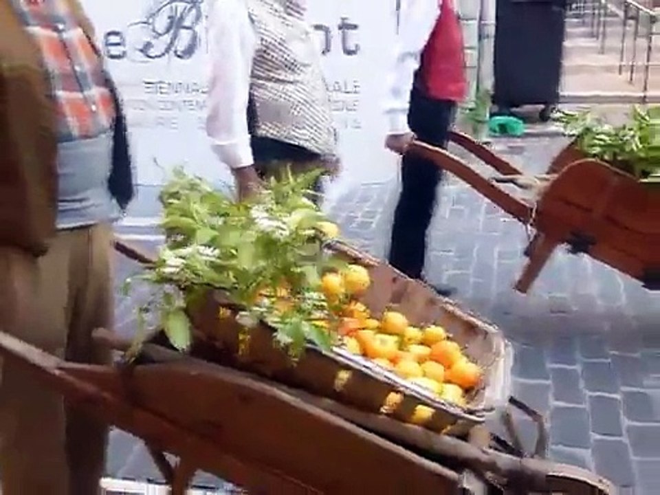 Fete de l' Oranger Vallauris Mai 2015