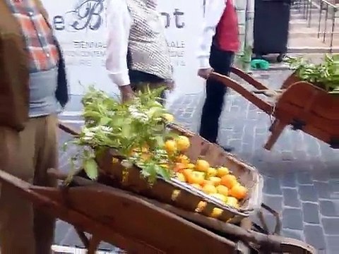 Fete de l' Oranger Vallauris Mai 2015