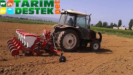 Erkunt Nimet 70 Silajlık Mısır Ekimi