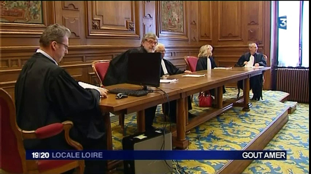 France 3 Loire - 27 mai 2015