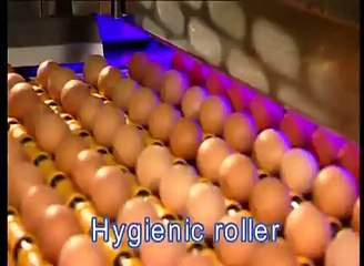 Moba Omnia FT 330 Egg grading and packing machine