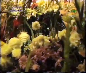 fiesta de la virgen del Carmen en Paucartambo