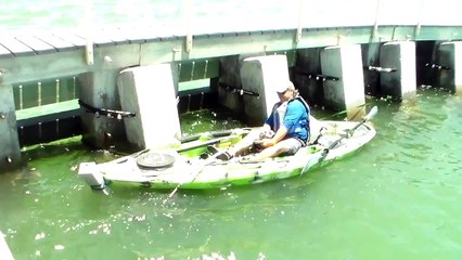 Cape Coral Man lands Largest Kayak Bottom Fish Ever !