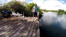 Dog Jumps Into Tarpon Lake GoPro Hero3 