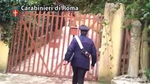 maltrattamenti animali, denunciato gestore canile vicino Roma