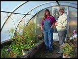 How To Grow Tropical Water Plants In A Greenhouse