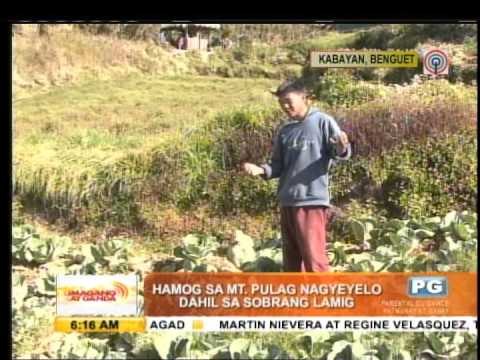 Freezing weather in Mt. Pulag draws tourists