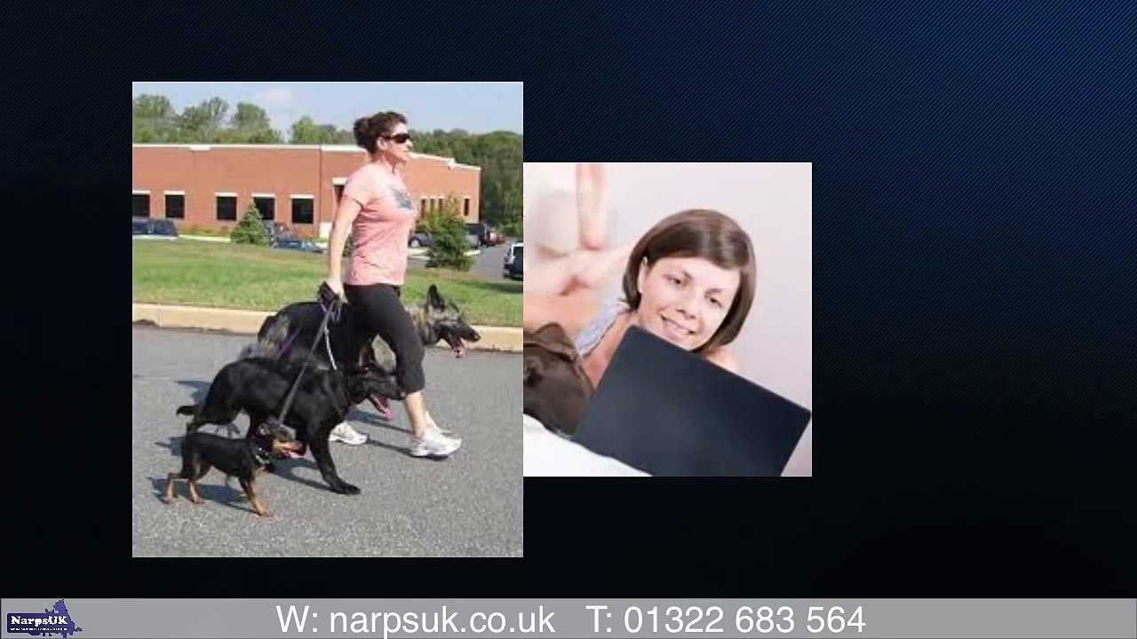 Pet Sitting Software and Mobile App