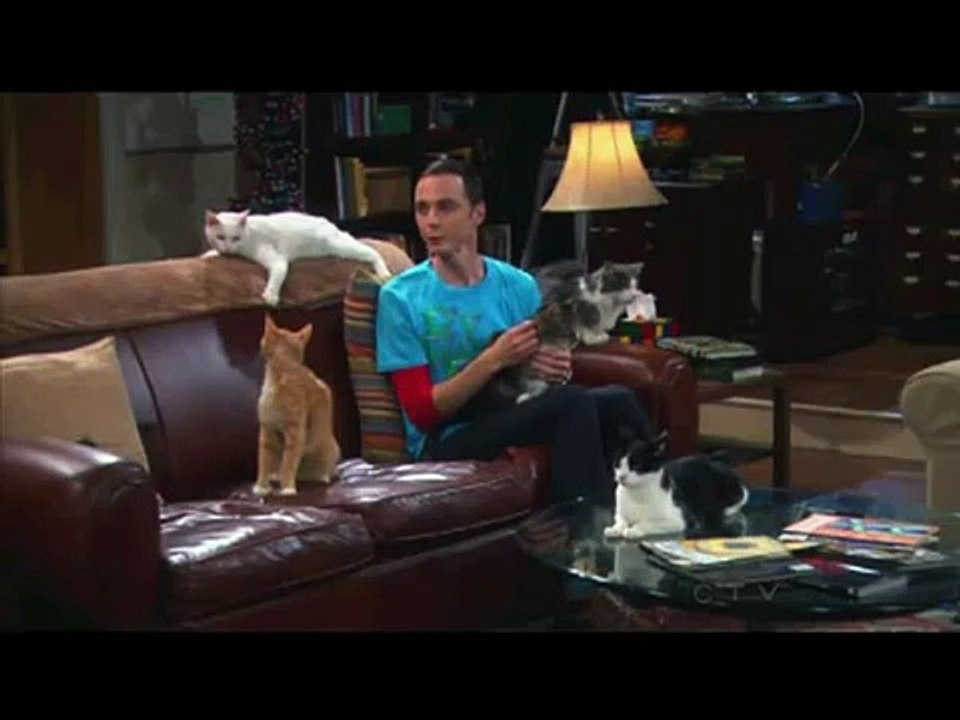 TBBT - Sazzles