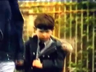 Cats in The Cradle Northern Ireland