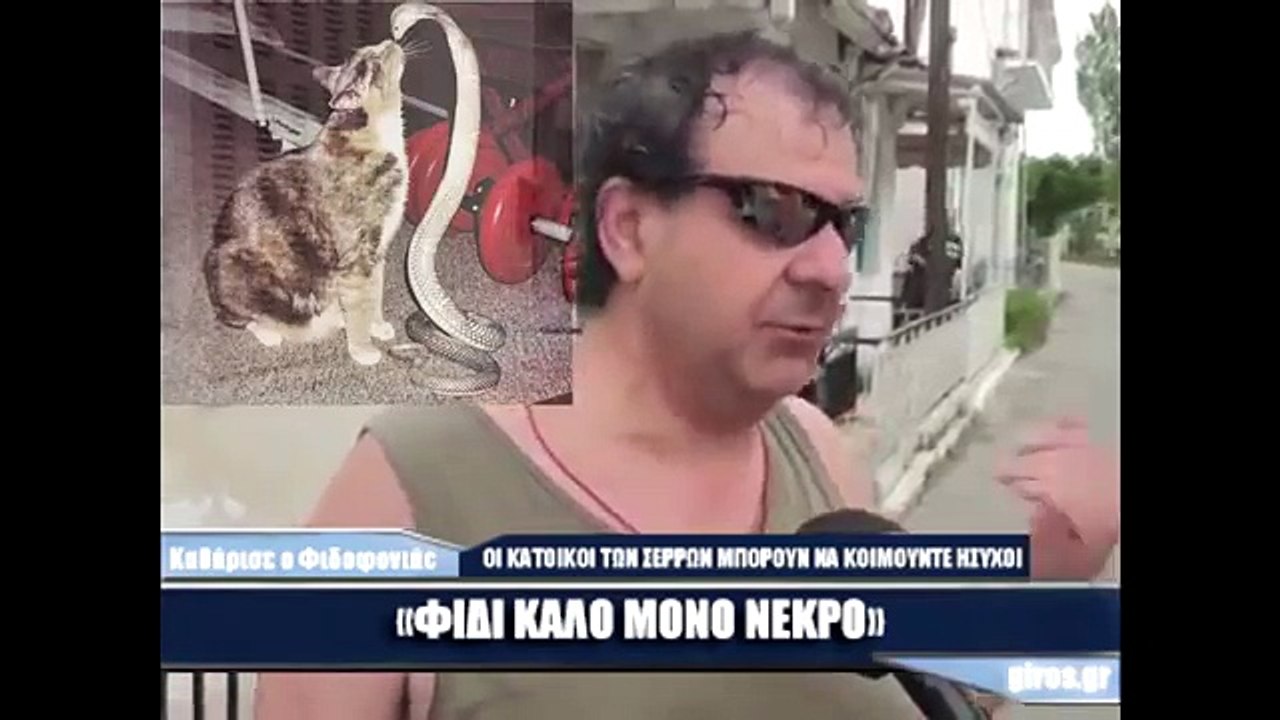 Φίδι Καλό Μόνο Νεκρό