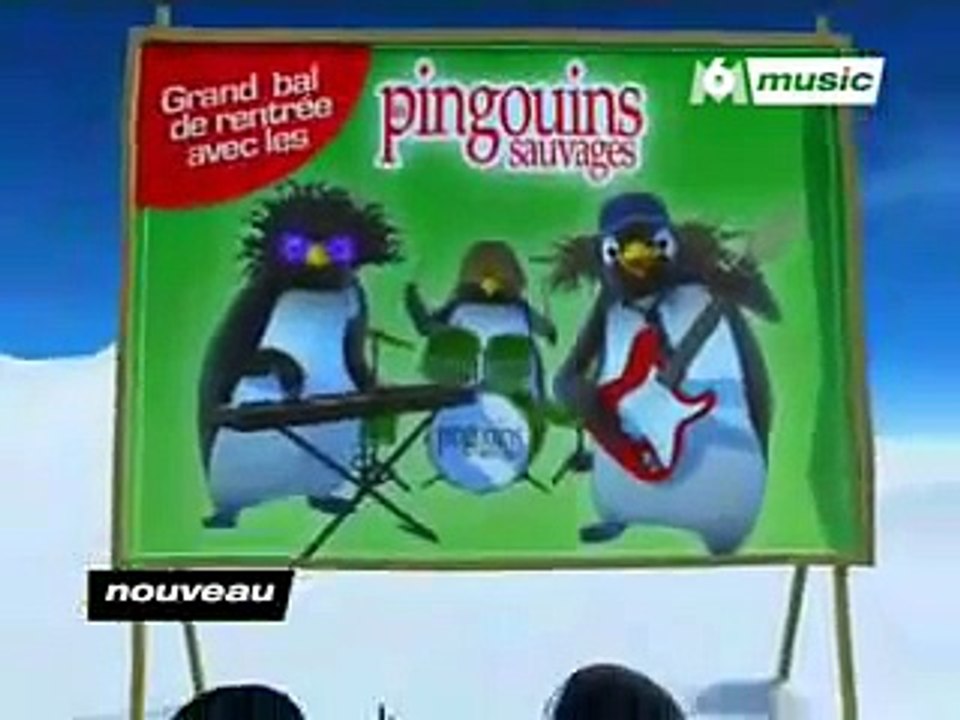 pigloo-2