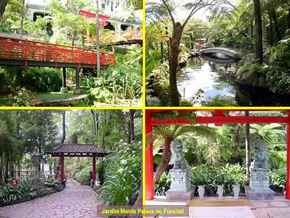 ILHA da MADEIRA - PORTUGAL (Madeira Island)