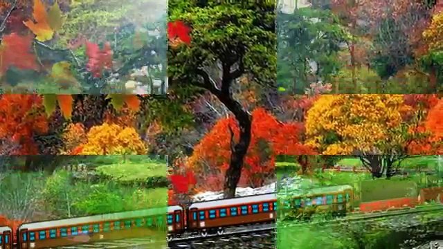 Los Gritos - Adiós verano, adiós amor (1,969)