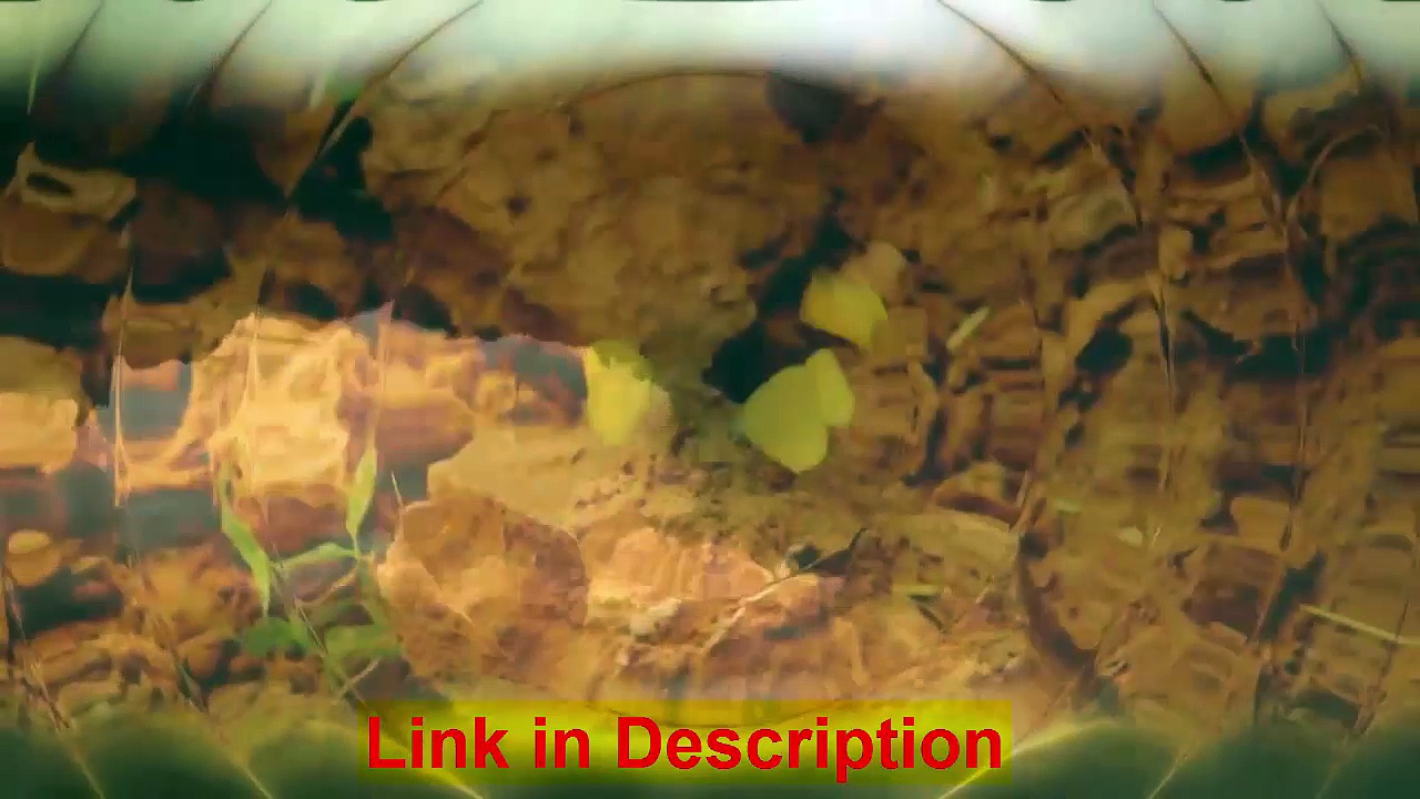 Depression and divorce