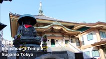 真性寺 巣鴨 东京 / Shinshou-ji Temple Sugamo Tokyo / 스가 모 도쿄
