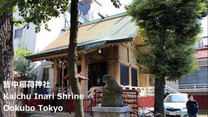 皆中稲荷神社 大久保 东京 / Kaichu Inari Shrine Ookubo Tokyo / 이나 리 신사 오오쿠보의 모든 도쿄