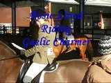 Pony Club Dengie Dressage Championships 2008
