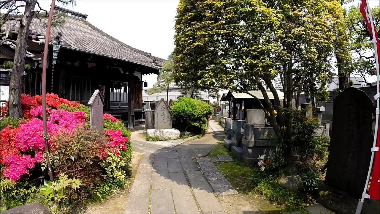 観蔵寺 柴又 东京 / Kanzou-ji Temple Shibamata Tokyo / 관광 자오 사원 시바 마타 도쿄