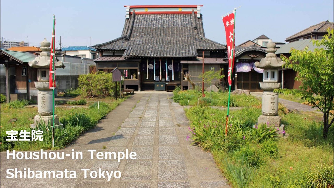 宝生院 柴又 东京 / Houshou-in Temple Shibamata Tokyo /호 원 도쿄