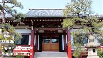 慈眼寺 巣鴨 东京 / Jigan-ji Temple Sugamo Tokyo / 스가 모 도쿄