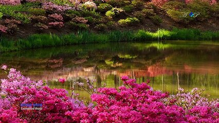 EDWARD SIMONI - Enchanted World (amazing pan flute music)