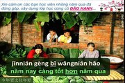 Happy New Year Chinese version: Vietsub bản đẹp HD - hoc tieng trung bài hát mừng năm mới hay nhất