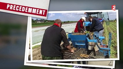 Feuilleton : "L''île de Batz, une île avant l'été"