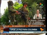 Tregua unilateral de las FARC disminuyó las víctimas en Colombia